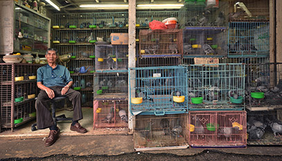 The Old Shops photographs