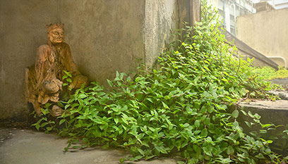 Wild Concrete photographs